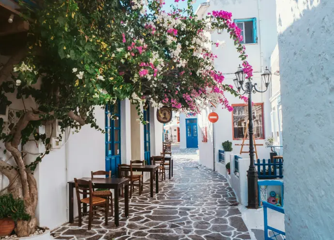 pink flower tree on white concrete building